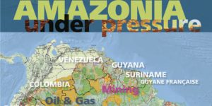 Amazonia under pressure16_05_2013 cropped